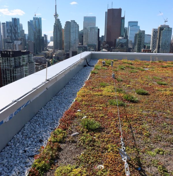 Rückhalteseile und Rettungsleinen