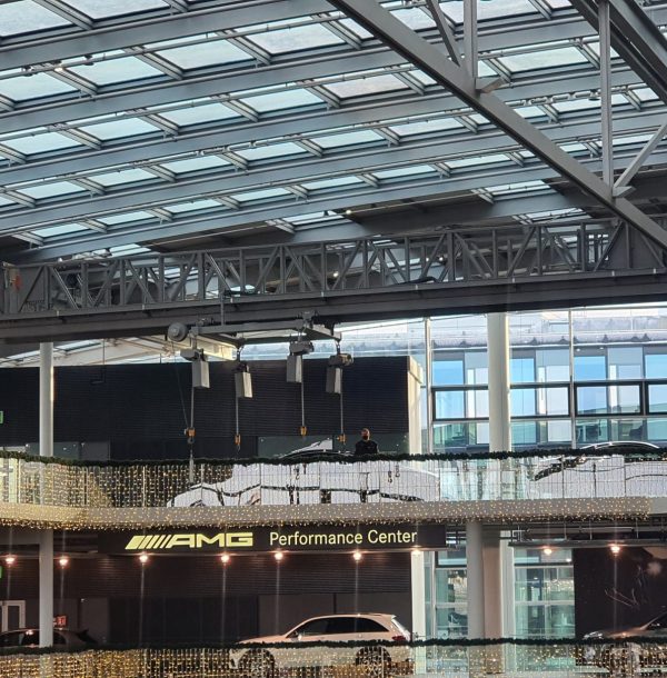 Rolling Ladder and Gantries