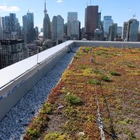 Tiebacks en Lifelines