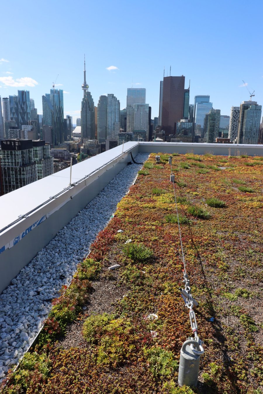 Tiebacks and Lifelines